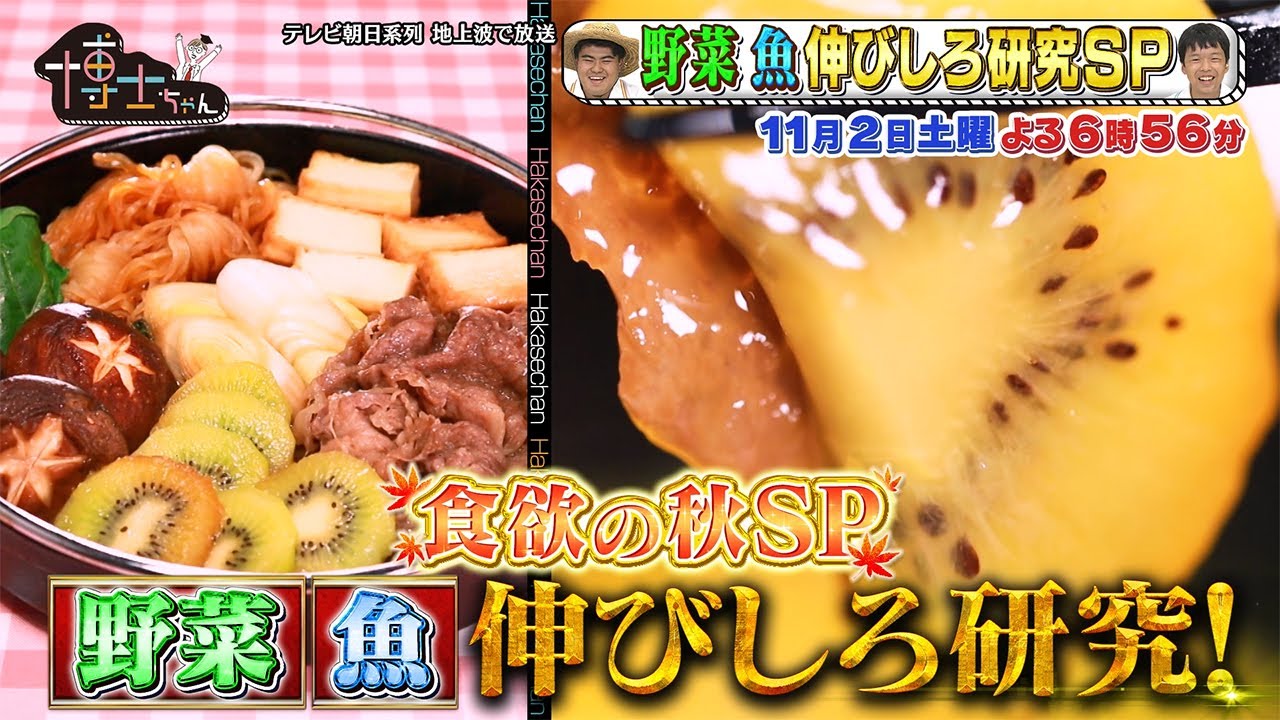 11月2日(土)サンドウィッチマン&芦田愛菜の博士ちゃん 野菜と魚の伸びしろ研究博士ちゃんが食欲の秋にオススメしたい「新定番料理」を爆笑授業! 11月2日(土)サンドウィッチマン&芦田愛菜の博士ちゃん 野菜と魚の伸びしろ研究博士ちゃんが食欲の秋にオススメしたい「新定番料理」を爆笑授業!