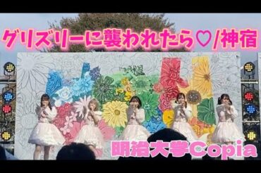 【明治大学Copia】グリズリーに襲われたら♡/神宿踊ってみた