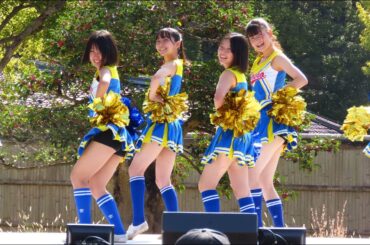 【チアガール】高校生のチアダンス