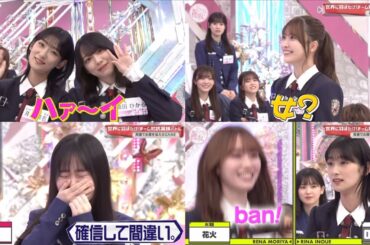 【そこさく】チーム対抗！英語力バトル！！【作業用/自分用】