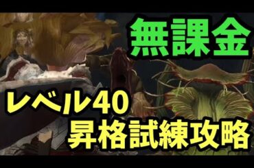 【無課金】40レベル解放試験ボス攻略【ウィザードリィダフネ】Wizardry Variants Daphne #ウィズダフネ