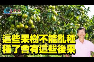 這些果樹不能亂種，種了會有這些後果！