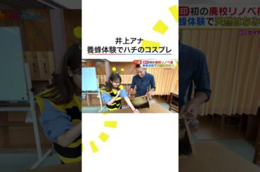 #井上清華 アナウンサー 養蜂体験に初挑戦 #めざましテレビ #やってセイカ！ #shorts