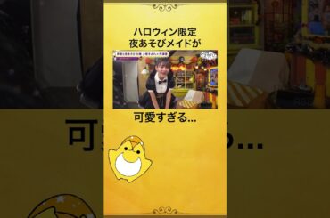 【夜あそびハロウィンWEEK振り返り🎃】豪華カワイイ火曜日！夜あそびメイド勢揃い💘 #久保田未夢 #上坂すみれ #芹澤優 #上坂芹澤と夜あそび #声優と夜あそび #i_Ris  #shorts