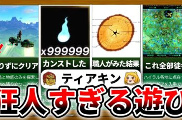 【ティアキン】なにこの遊び方www
