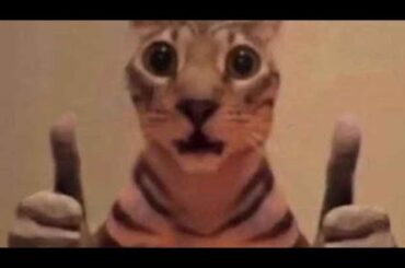 おーぷんべーた