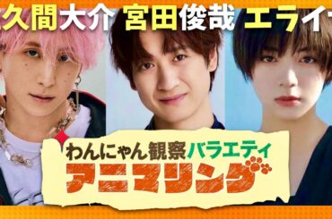 わんにゃん観察アニマリング【10月31日放送/佐久間大介/宮田俊哉/池田エライザ】