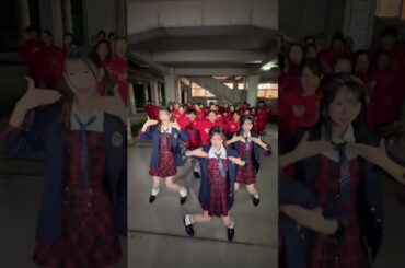 AKB48 千葉恵里 向井地美音 山内瑞葵 💓💓💓💓