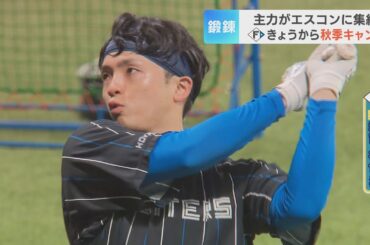 【ファイターズ】エスコンＦで秋季キャンプスタート  約6000人のファンの前で“鍛錬の秋”