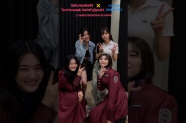 櫻坂46×COLLAR I want tomorrow to come TenYamasak KarinFujiyoshi CANDY DAY TikTok