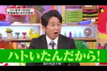 有吉 × マツコ × 夏目三久「ハトいたんだから!」 名場面集 2024.10.29 FULL HD