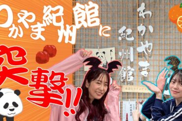 【わかやま紀州館】東京で和歌山巡り!?ゆきめぐ2人がわかやま紀州館に突撃!!【ゆきめぐTV】