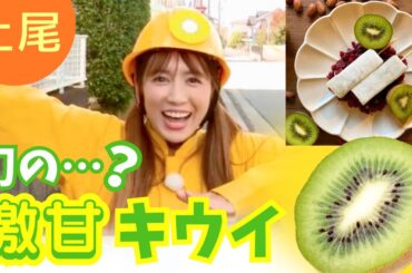 上尾のキウイの甘さの秘密とは…？才木玲佳が徹底調査！【いまドキッ！埼玉】2024.10.26放送