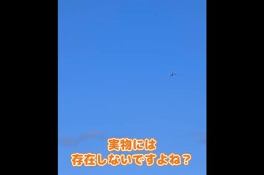 着陸するブルーホーク #ラジコン飛行機 #ラジコン
