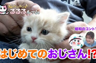 かわいい子猫大集合！ドキドキはじめて体験に大爆笑 猫ルンルン♪るるるルーム るるる 紺野彩夏【公式】