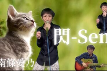 閃 - Sen - /南條愛乃 ニャーソング / さしゃぽん