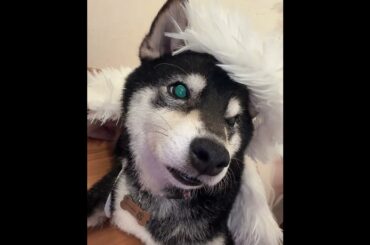 「2024.10.31」井上玲音