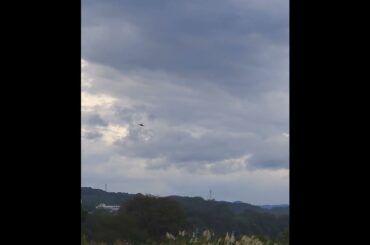 着陸する川崎T-4 #ラジコン飛行機 #ラジコン