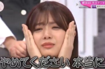 【櫻坂４６】「 そこ曲がったら 櫻坂？2024 」Episode 32-36 Full Show