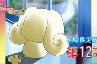 【期間限定公開】ふたりはプリキュアSplash☆Star 第12話「チョッピはチョピっとホームシック？」