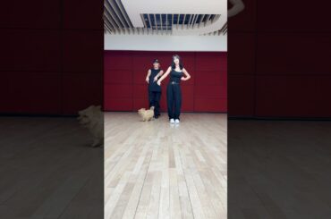 #LAST_PARADE 🚩with #MOMO #모모 #TWICE #트와이스 #BamBam #뱀뱀 #BAMESIS