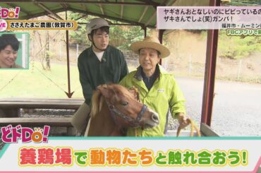 にじパレ どドDo！ 養鶏場で動物と触れ合おう！