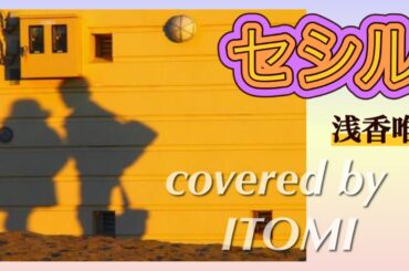 cover【セシル】浅香唯（1988）