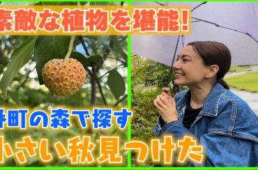 #151 小さい秋見つけた@番町の森