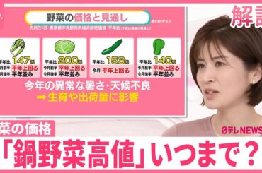 【「鍋野菜」が高い！】キャベツ2倍、白菜1.47倍  いつまで？“お手頃野菜”使ったおススメ料理【#みんなのギモン】