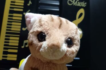 夢であいましょう『名探偵コナン』エンディングテーマ #歌ってみた ぴよちゃん