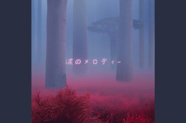 涙のメロディー