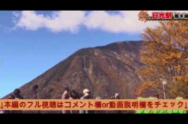 【秋に行きたい絶景駅総選挙1位】栃木県日光駅＆竜頭滝がヤバすぎた＜鉄道のプロ＆旅好き1万人がガチ投票/見逃し配信＞2024年11月4日 LIVE FULL