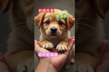 #shorts #昭和歌謡曲 #岩崎良美 #タッチ #癒し #懐メロ