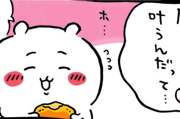 【かわいい】黒い流れ星の話