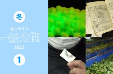 農研機構2023冬のオンライン一般公開生配信の「養蚕の起源」コーナー