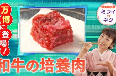 【出演：川田裕美】 『もうすぐ万博！ミライのネタ』 着々と準備が進む大阪・関西万博！▼万博にも展示するという培養肉の研究に参画している「培養肉未来創造コンソーシアム」の取り組みにスポットを当てます。