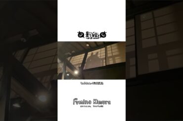 (限定動画) 影絵 #木村文乃 #shorts