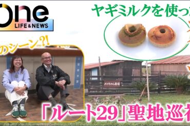 【映画ルート29】綾瀬はるかさん主演で鳥取県内を中心に撮影が行われた映画のロケ地を紹介