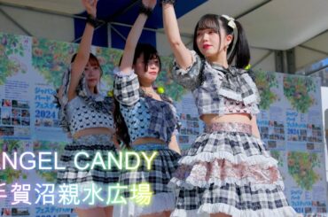 ANGEL CANDY 【ジャパンバードフェスティバル2024】[R3/4K60p]（手賀沼親水広場 2024.11.03）えんでぃー