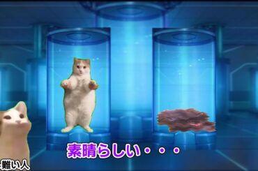 【猫ミーム 】１分４０秒でわかるメイドインアビス