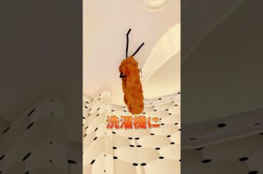 チキンナゲットで洗濯機に入ったらころもが取れる!?!?【ひみつのおるすばん】#short