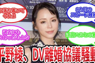 【反応集】平野綾「DV&スピード離婚協議」報道に関するネットの反応【声優】