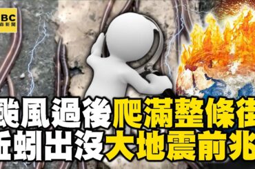 颱風過後「蚯蚓大軍出沒」爬滿整條街！ 網頭皮發麻「憂大地震前兆」氣象署揭真實原因？！【57爆新聞 萬象搜奇】 @57BreakingNews