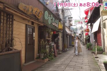 海外の旅はバルト三国へ！ゲストの旅は北乃きい！「旅サラダ」11月9日（土）放送