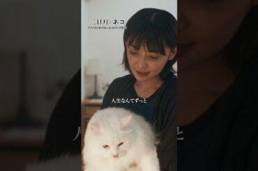 映画『#三日月とネコ』Blu-ray＆DVD 11月6日(水)発売！心に刺さる名シーンをご紹介②