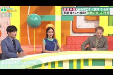 中居正広の土曜日な会　2024年11月9日  🅵🆄🅻🅻🆂🅷🅾🆆【1080pHD】