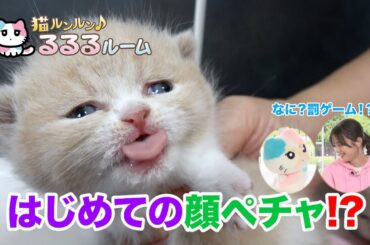 かわいい子猫大集合！ドキドキはじめて体験に大爆笑 猫ルンルン♪るるるルーム るるる 紺野彩夏【公式】