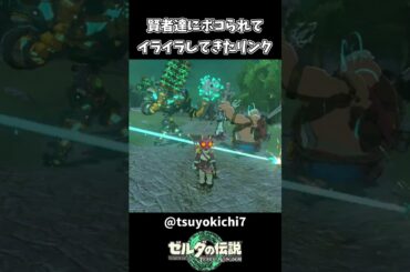 【ティアキン】賢者を連れ出したらボコられたリンク【ゼルダの伝説 ティアーズ オブ ザ キングダム】