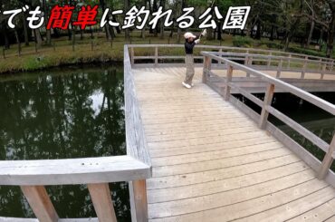 誰でも簡単に釣る事が出来る公園