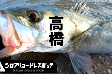 シーバスエリートの高橋さん